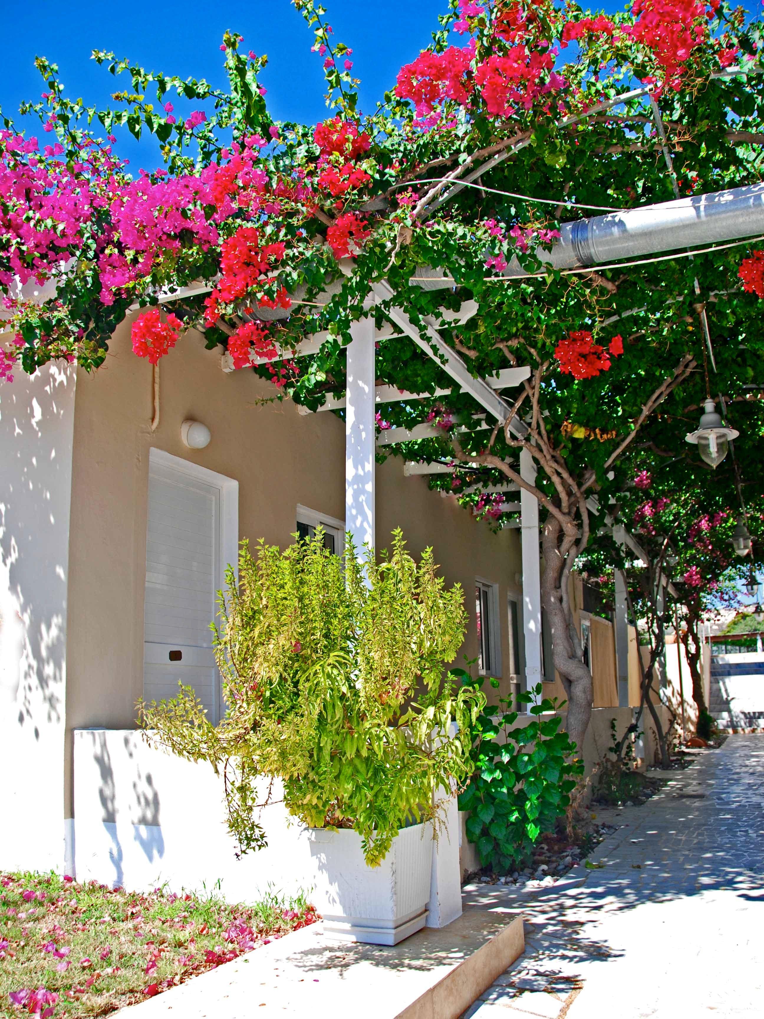 Sacallis Inn Beach Hotel Kéfalos Eksteriør bilde